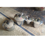 Set of 4 Stainless Steel Pots with Lids