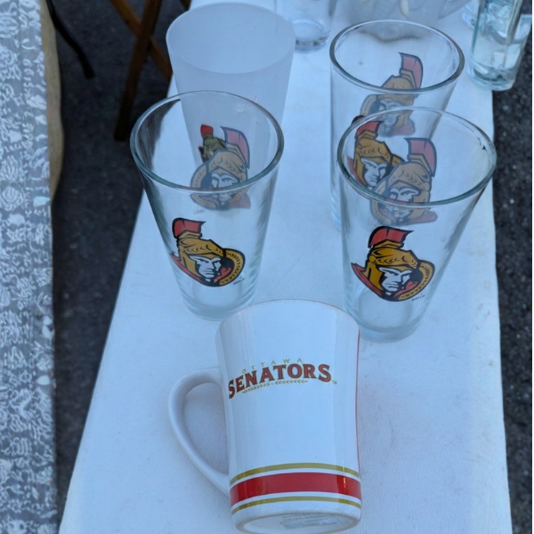 Ottawa Senators Fan Collection – Perfect for Game Nights & Display